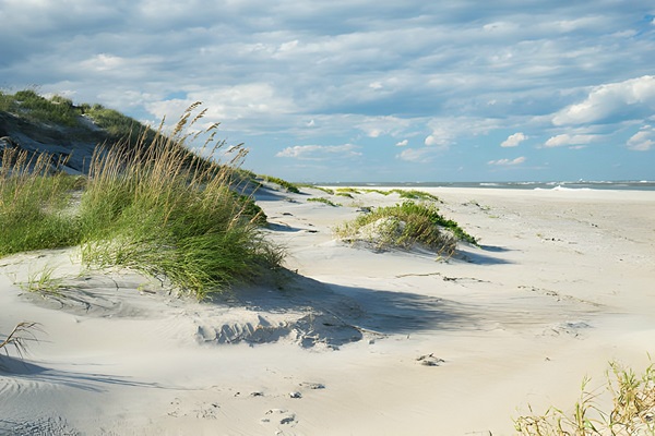 Beach Vacations Obx